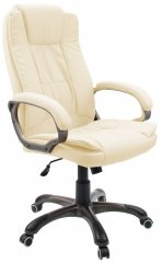 Dikline CS55