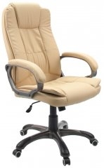 Dikline CS55
